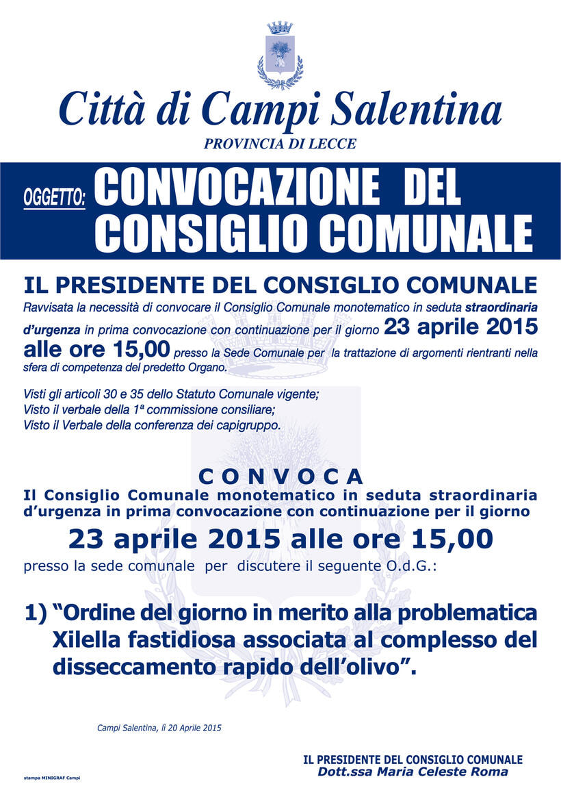 Immagine: consiglio_23_aprile.jpg