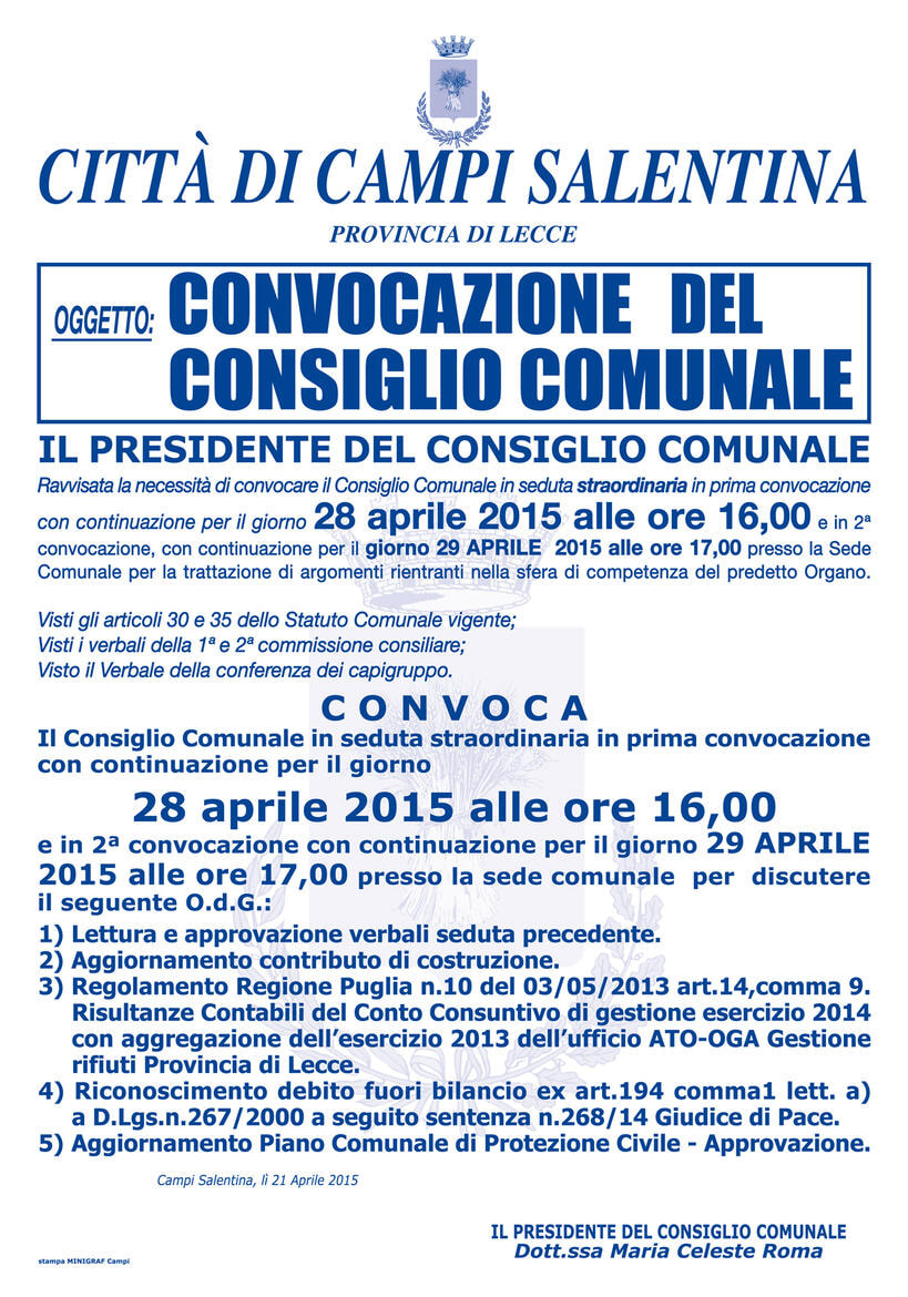 Immagine: CONSIGLIO_28_aprile.jpg