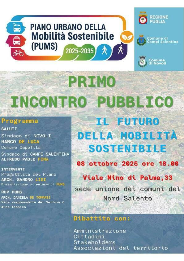 Immagine: Locandina incontro pubblico