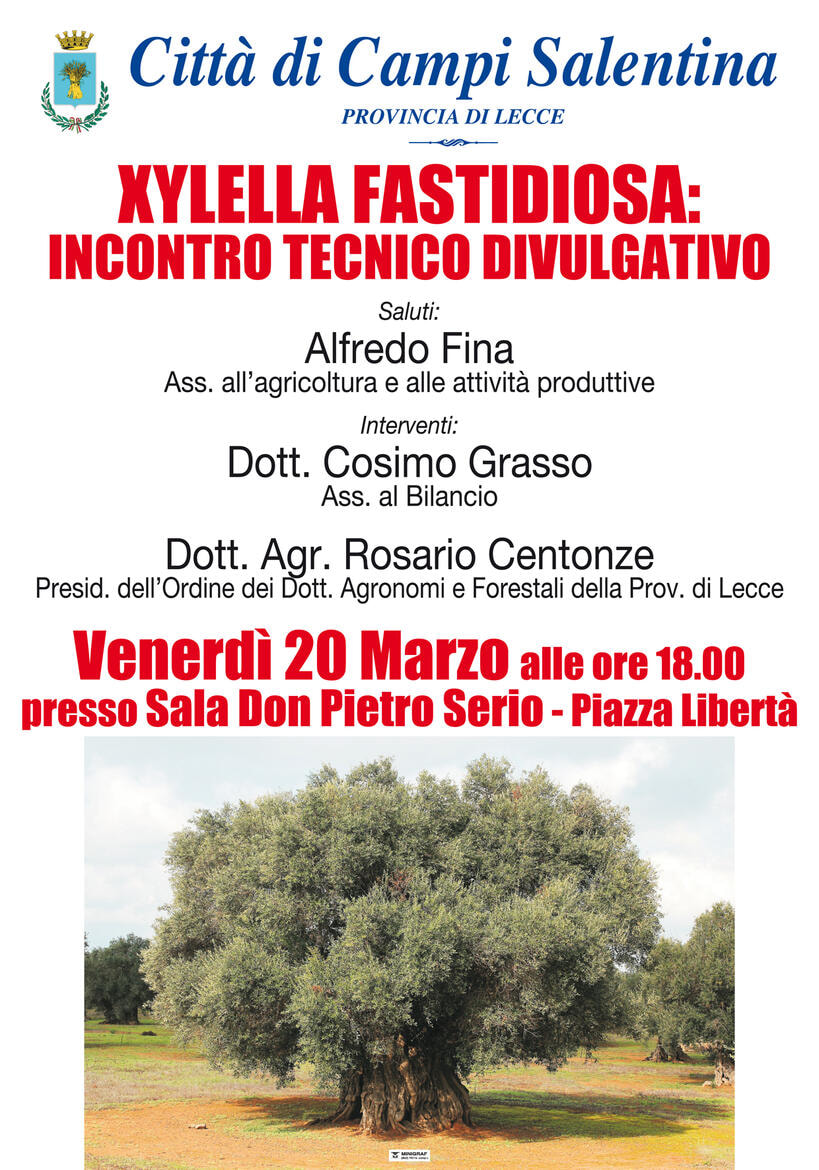 Immagine: MAN_XYLELLA_FASTIDIOSA.jpg