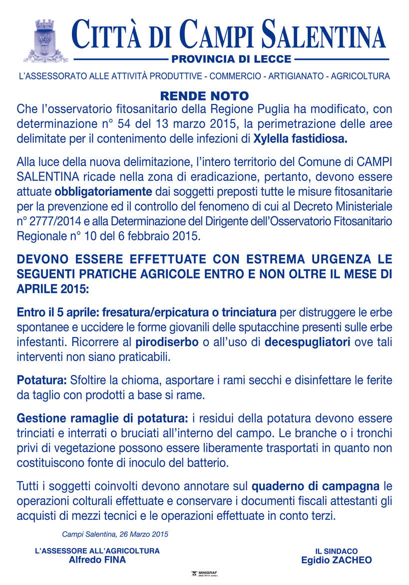 Immagine: man_xylella_fastidiosa_bis.jpg