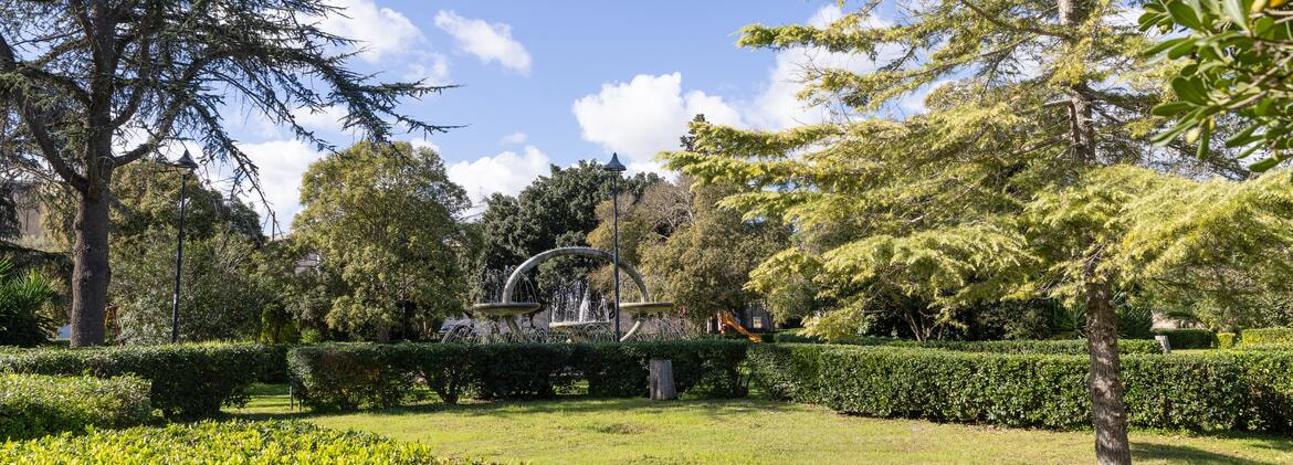 Immagine: Slide Vivere il comune