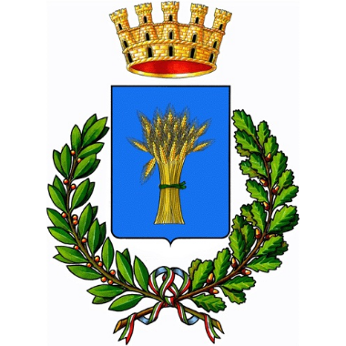 Immagine: Consiglio Comunale