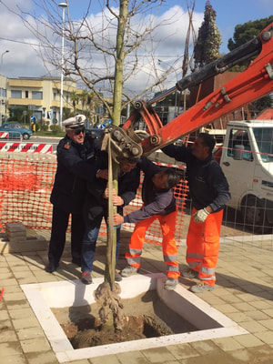 Immagine: IMG-20150324-WA0009.jpg