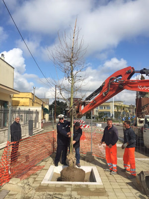 Immagine: IMG-20150324-WA0011.jpg