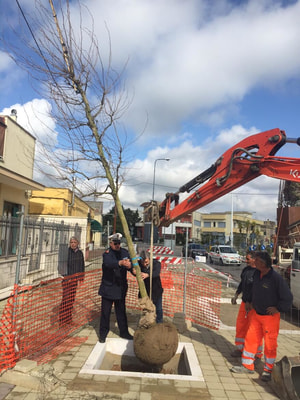 Immagine: IMG-20150324-WA0012.jpg