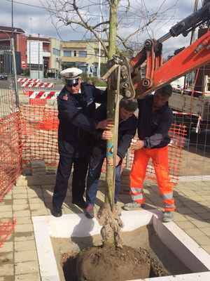 Immagine: IMG-20150324-WA0015.jpg