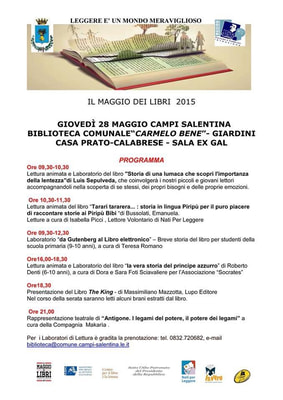 Immagine: IMG_0341_1.jpg