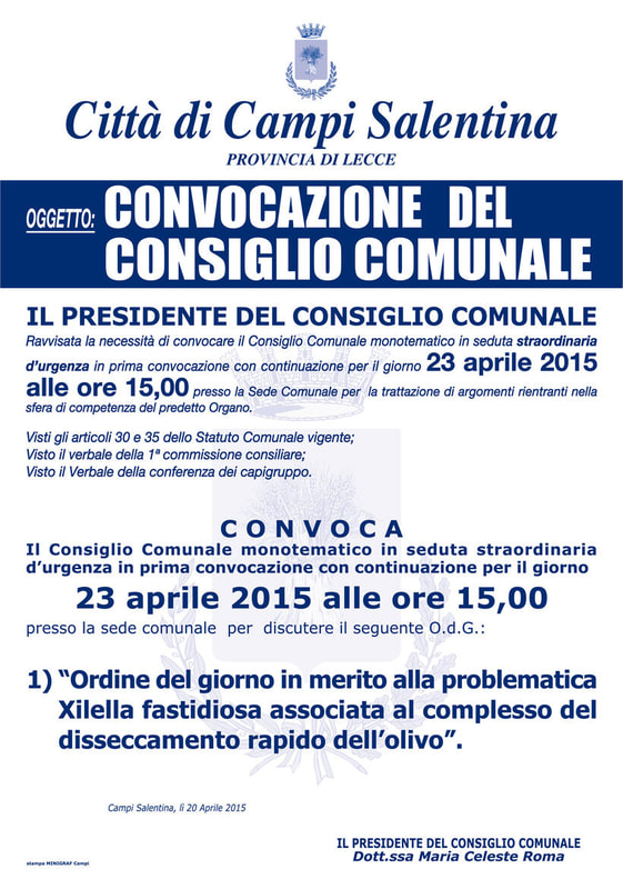 Immagine: consiglio_23_aprile.jpg