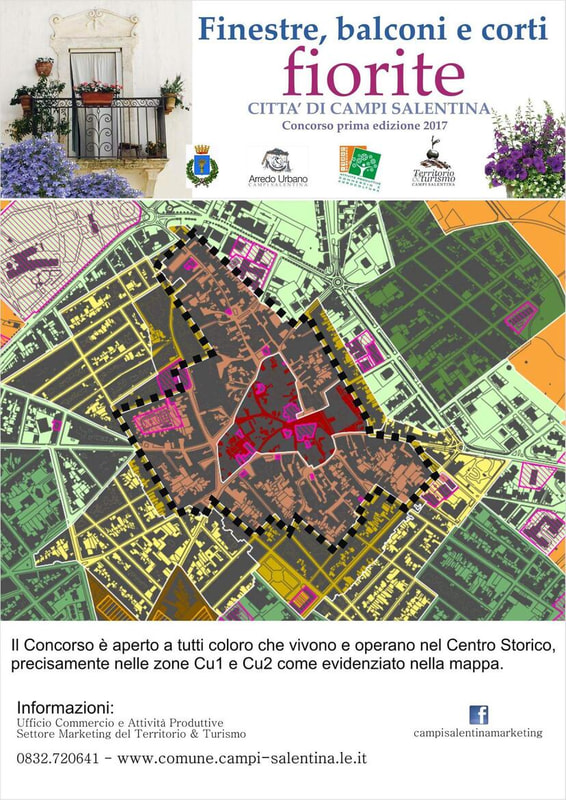 Immagine: facebook_1495015253335.jpg