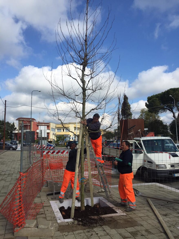 Immagine: IMG-20150324-WA0002.jpg