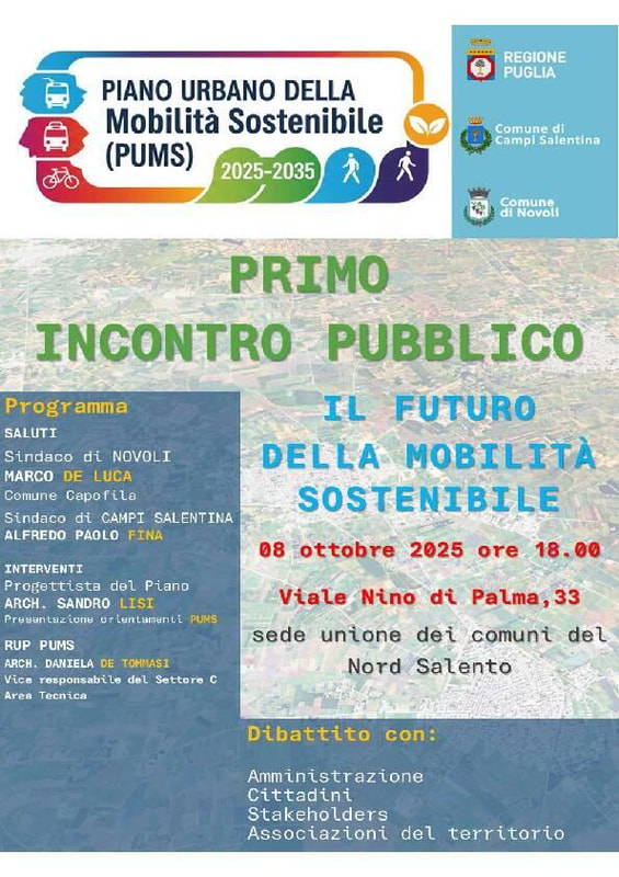 Immagine: Locandina incontro pubblico